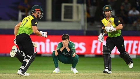 Cricket players