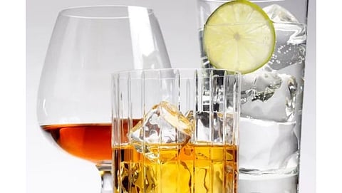can drinking alcohol damage the brain know what came out in the study