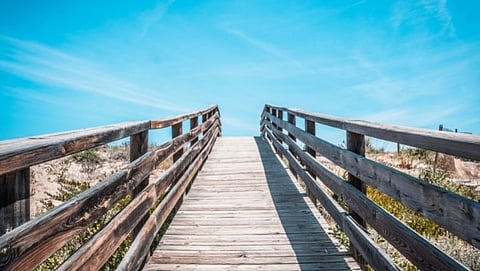 Bridge 
