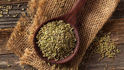 fennel
