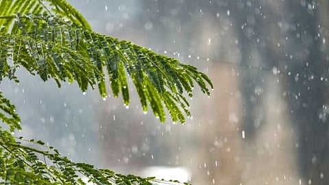 Rain 