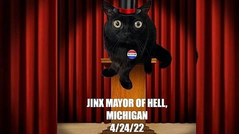 Michigan Cat Becomes Mayor