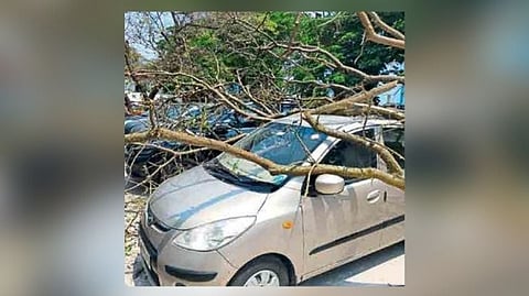 tree fell on car in Siolim