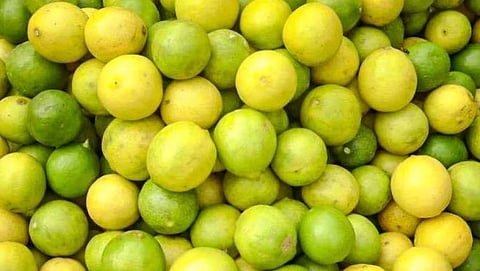 
Lemon Price 