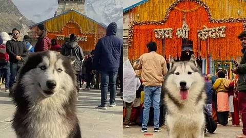Kedarnath 