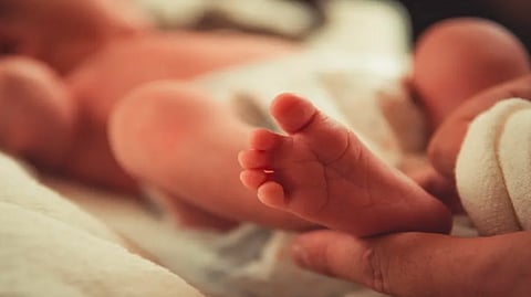newborn babies 