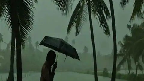 Monsoon News 