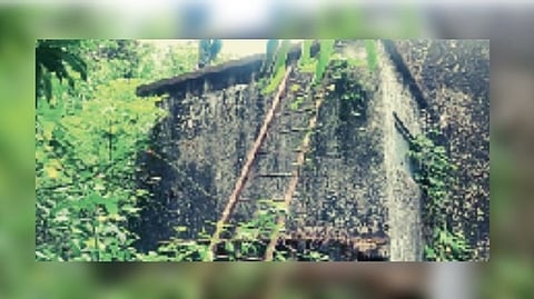 The main water tank surrounded by bushes.