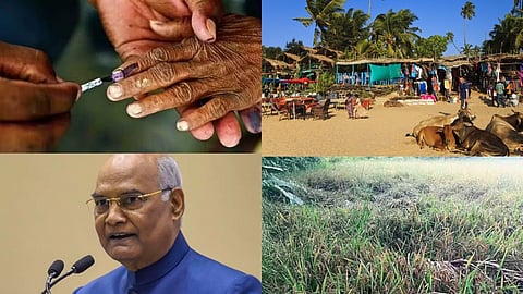 Top 5 Goa News