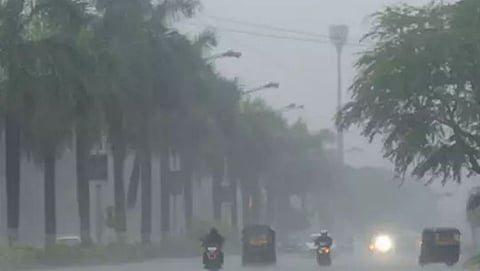Rain News 