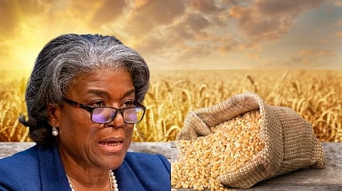 US opposes India wheat export ban