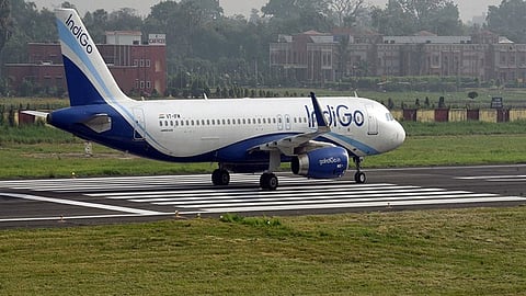 Indigo Airline