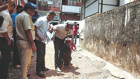 Police Investigation 