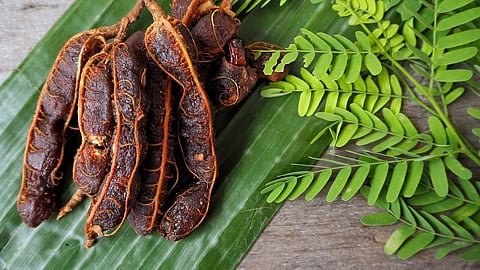 Why the taste of Indian food remains incomplete without tamarind