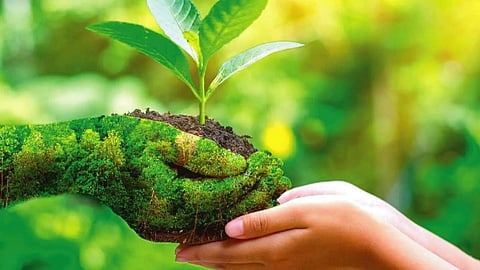 Environment 