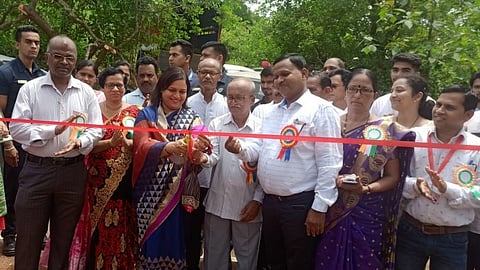 Divya Rane News