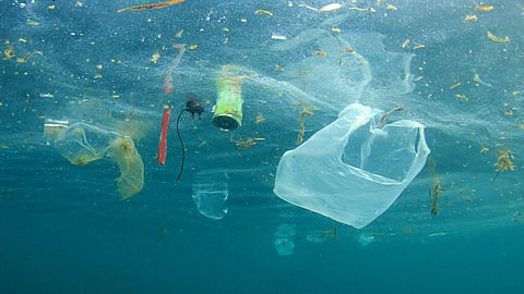 Water Pollution |Goa News 