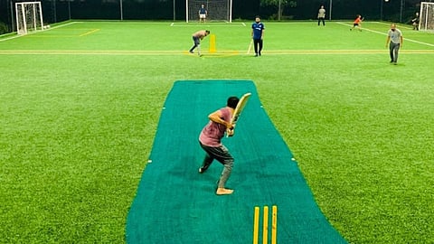 Cricket on turf 