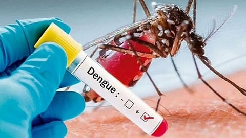 Drinks For Dengue Fever