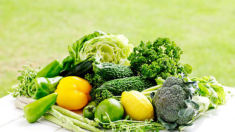 vegetable