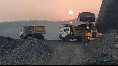 Coal