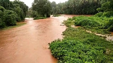 सलग चौथ्या दिवशीही गोव्यात 'मुसळधार'; अनेक भागात साचले पाणी, जनजीवन विस्कळीत