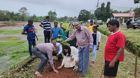Plantation