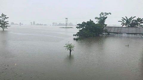 Assam flood
