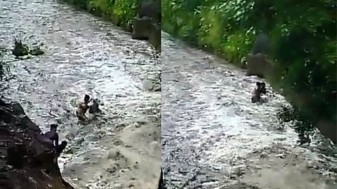 Maharashtra Police Viral Video 