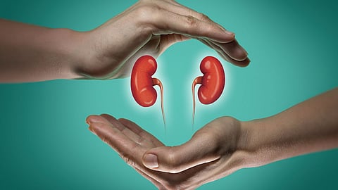 Kidney Detox Drinks