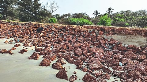 Goa Beach | Goa Marathi News | Goa News | Goa Latest News