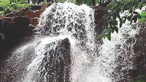 Naneli Waterfall Goa 