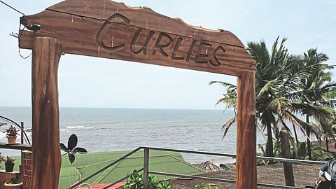 Curlies Club | Sonali Phogat Case 