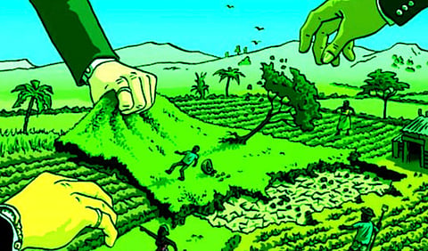 Land Grabbing Case