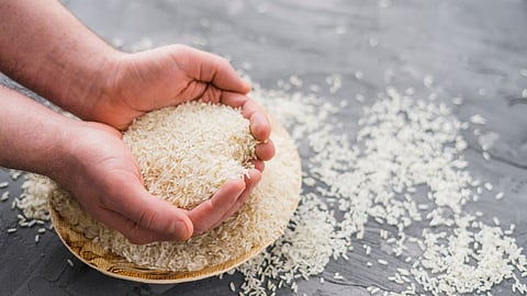 Rice | Goa News 