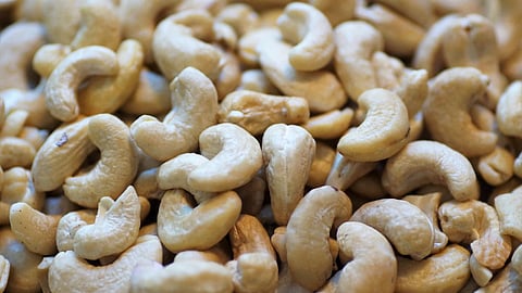 Fake Cashew in Goa 