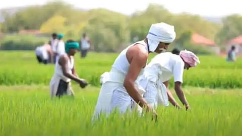 Farmers