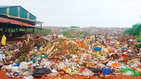 Assagao garbage