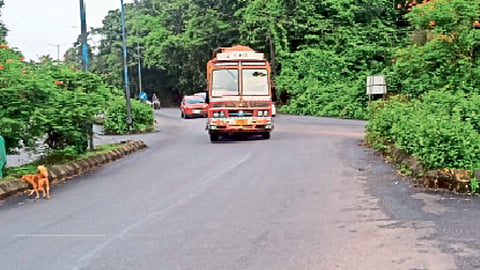 Goa Accident Cases