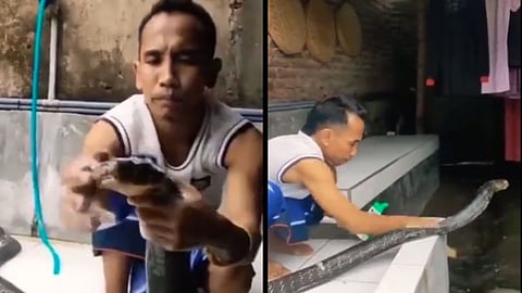Viral Video
