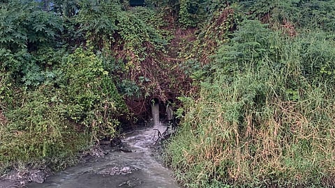 Sal River