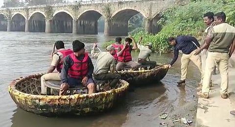 Crocodile Attack
