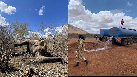 Kenya Drought