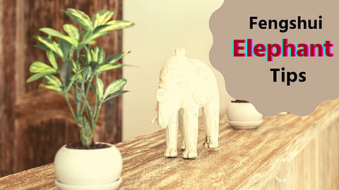 Fengshui Elephant Tips