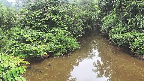 Galjibag River| Goa News