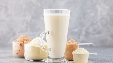 Protein Powder