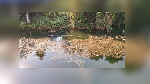 Sewage Water In Par River