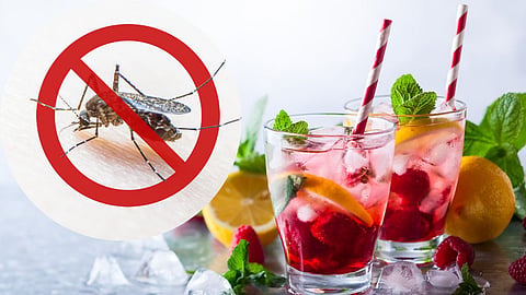 Dengue Fever| healthy tips