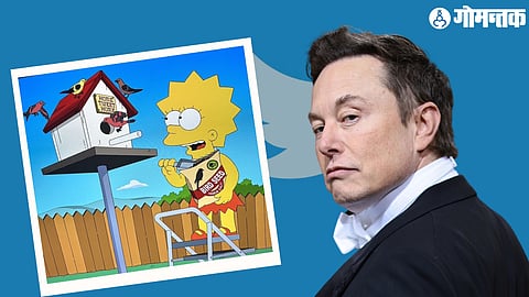 Elon Musk New Tweet