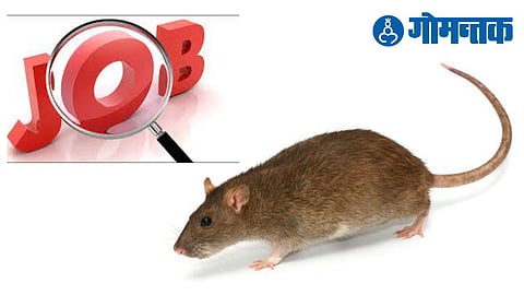 US Rat Exterminator